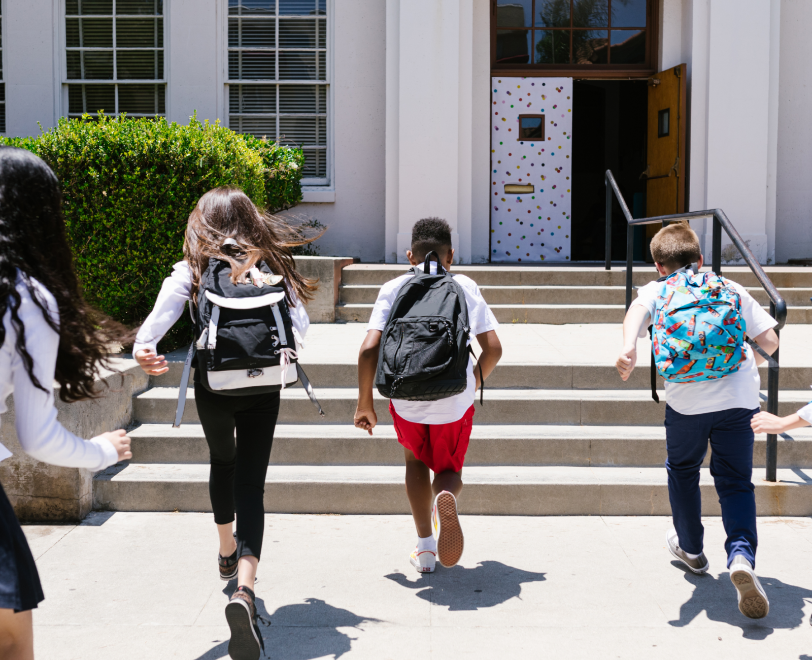 Back View Shot of Students