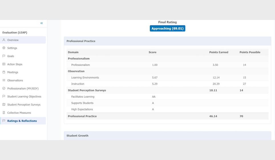 screenshot of LEAP evaluation professional practice table